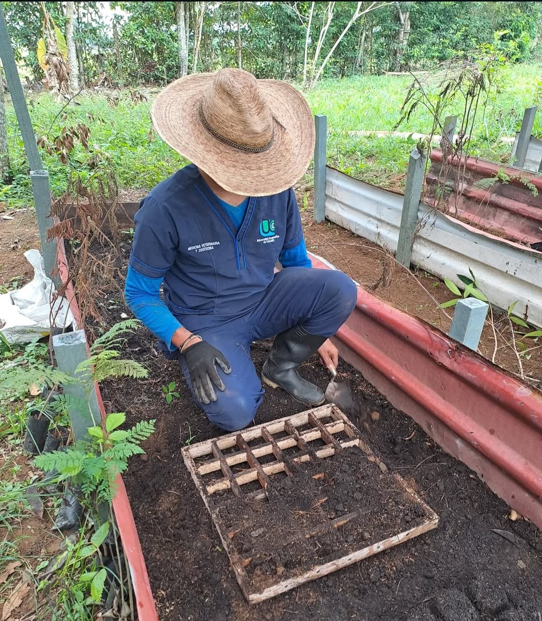 Imagen veterinaria 10