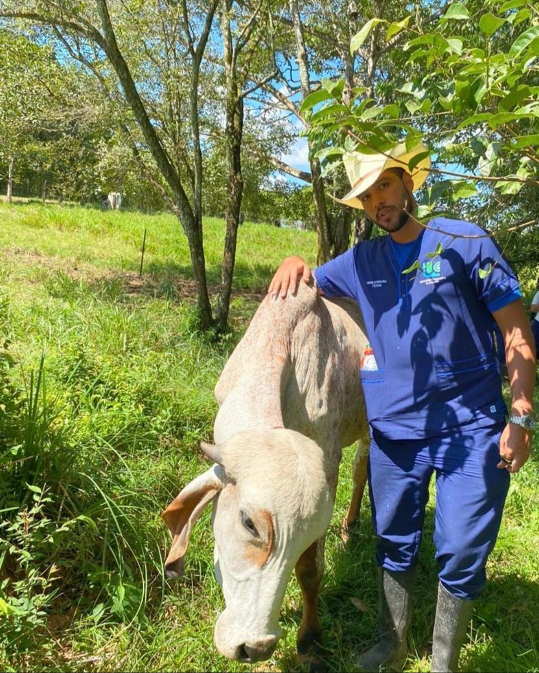 Imagen veterinaria 15