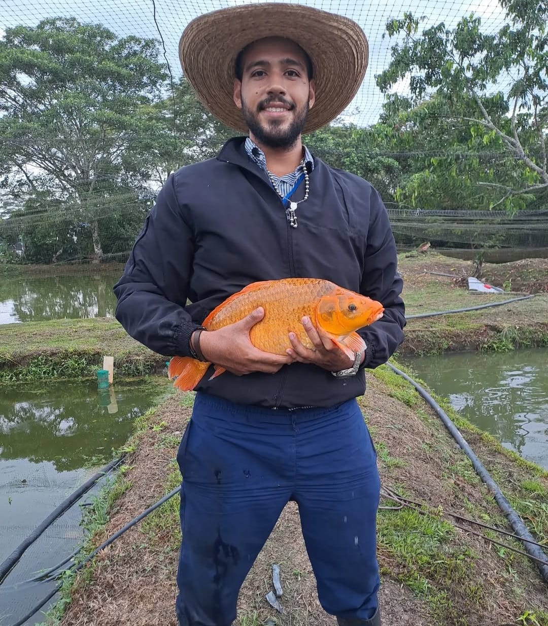 Imagen veterinaria 2