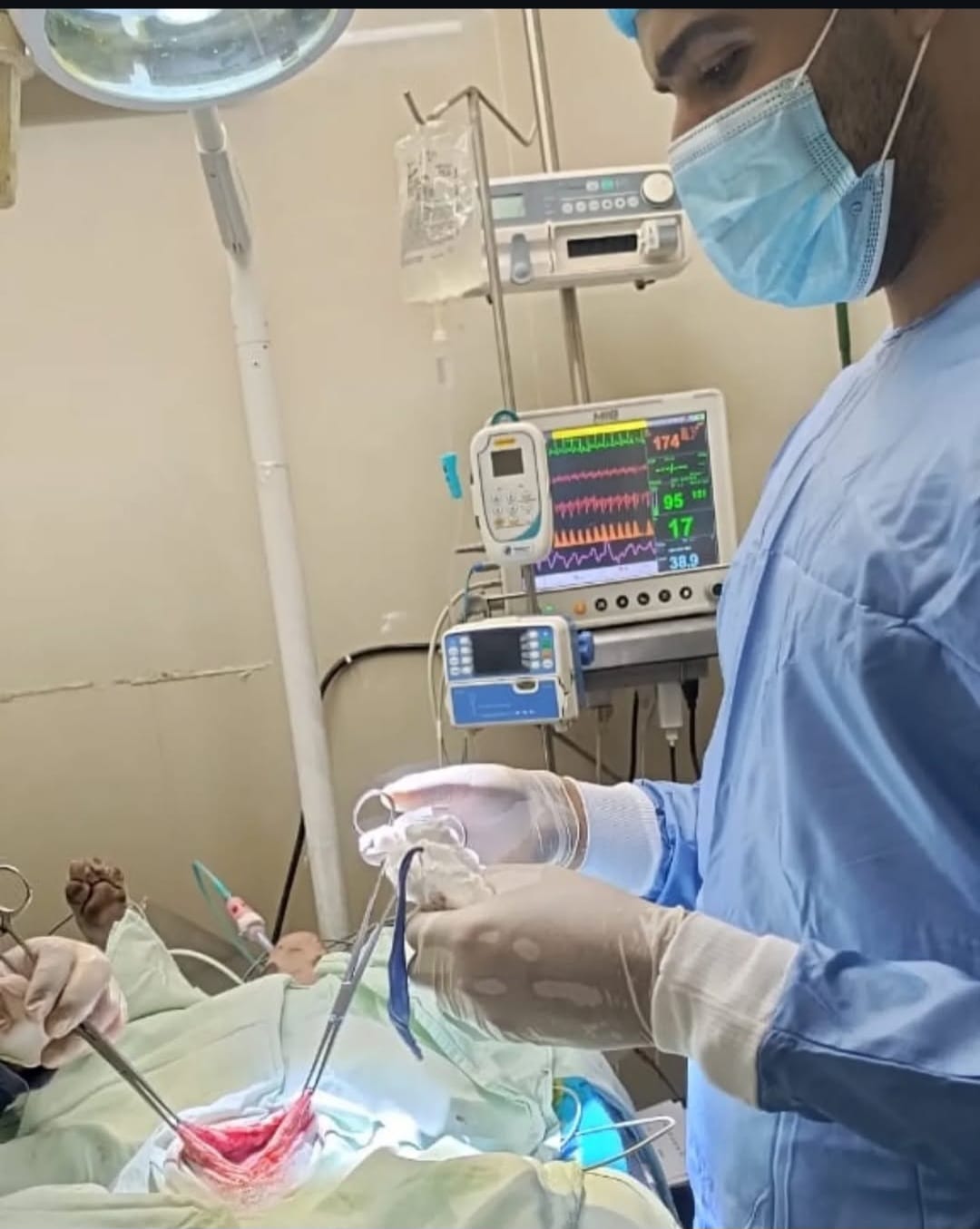 Imagen veterinaria 3