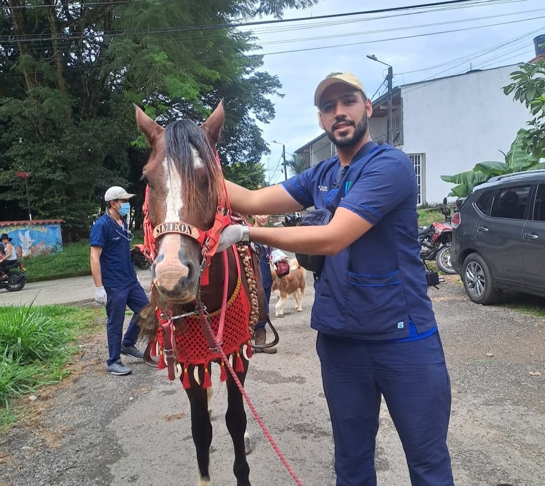 Imagen veterinaria 4