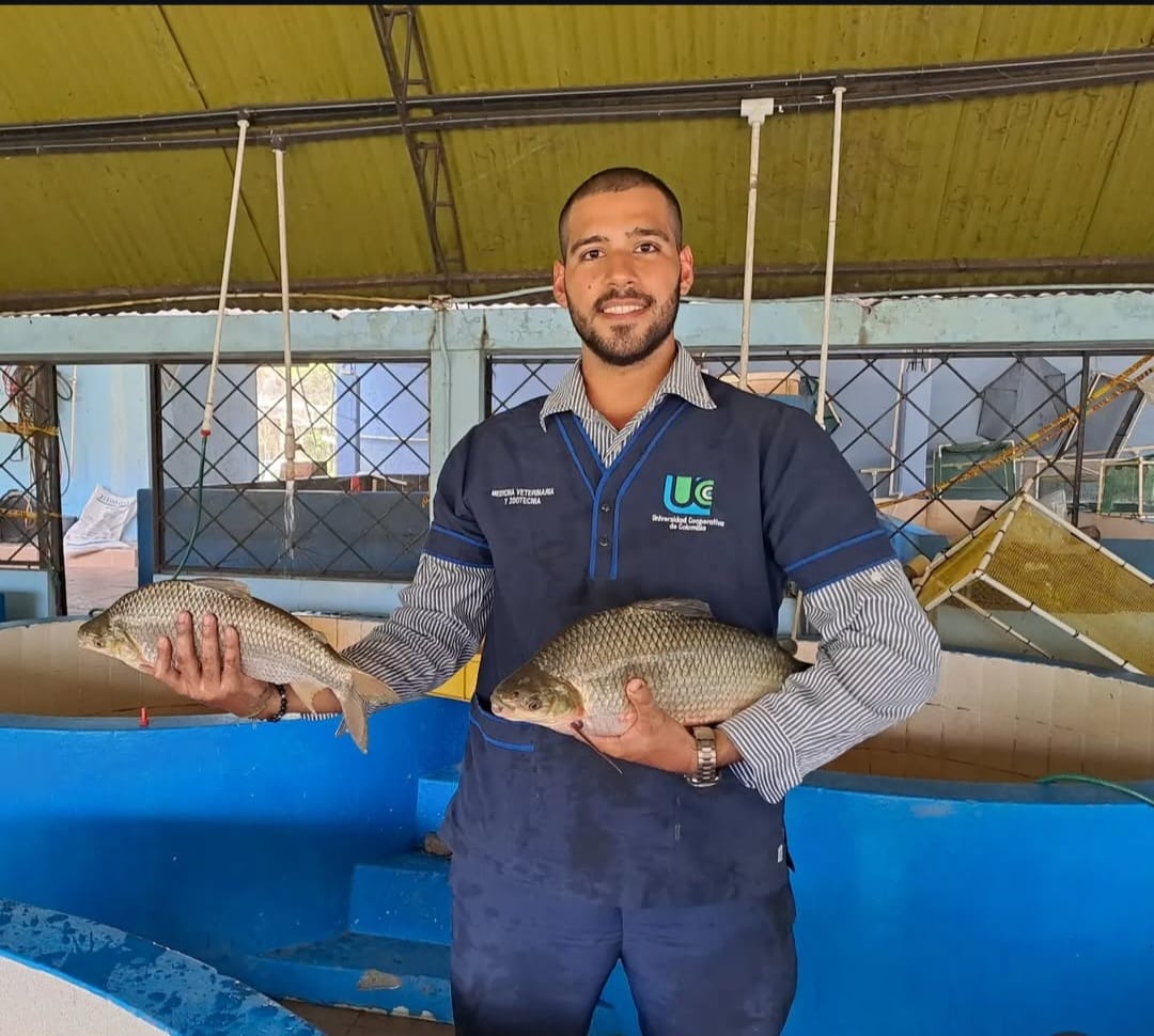 Imagen veterinaria 7