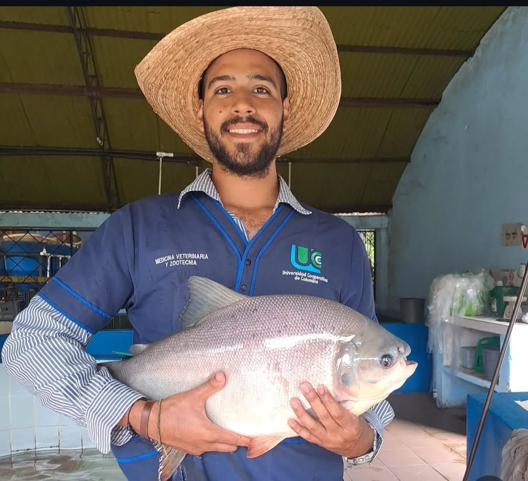 Imagen veterinaria 8