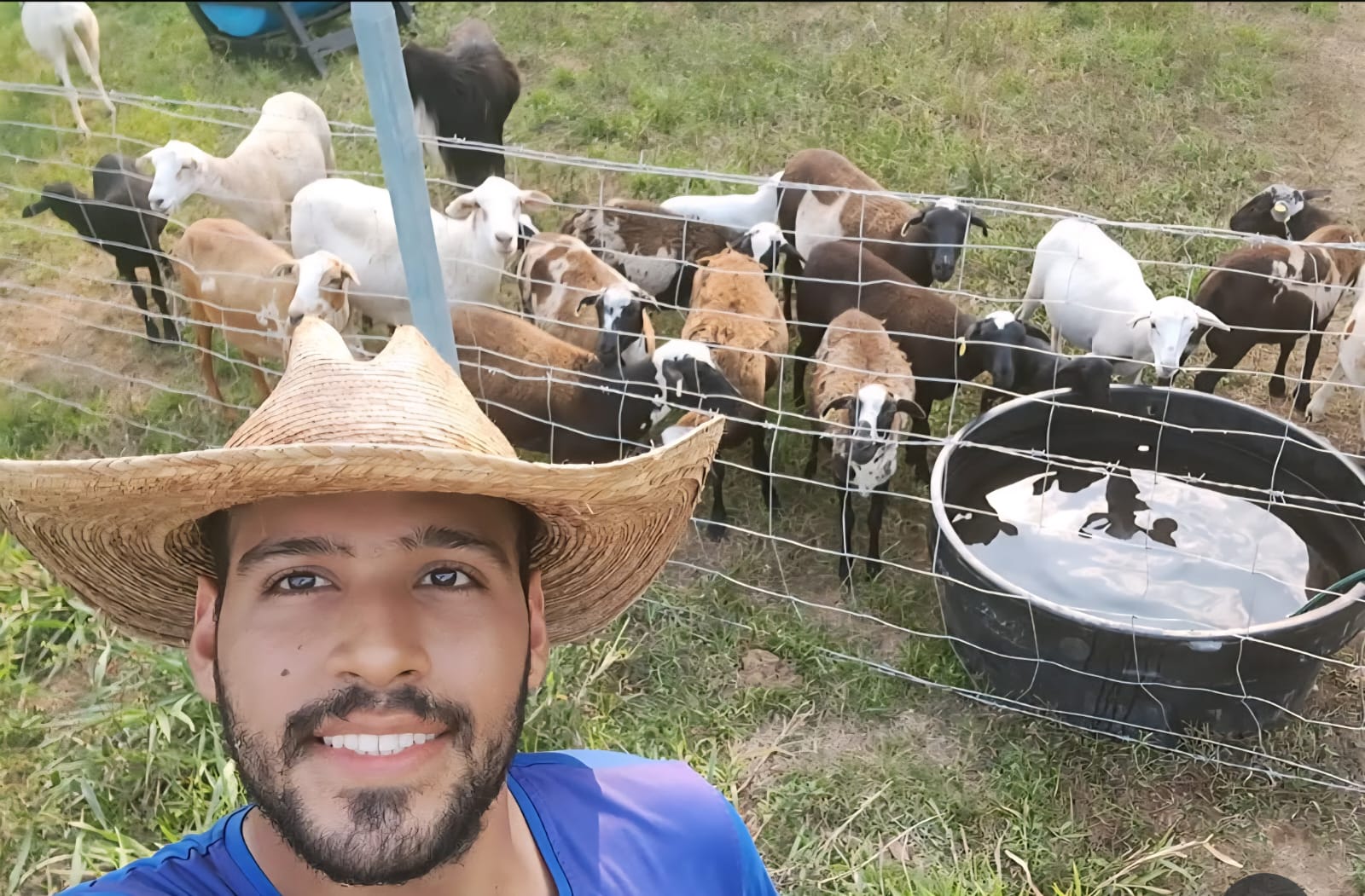 Imagen veterinaria 9