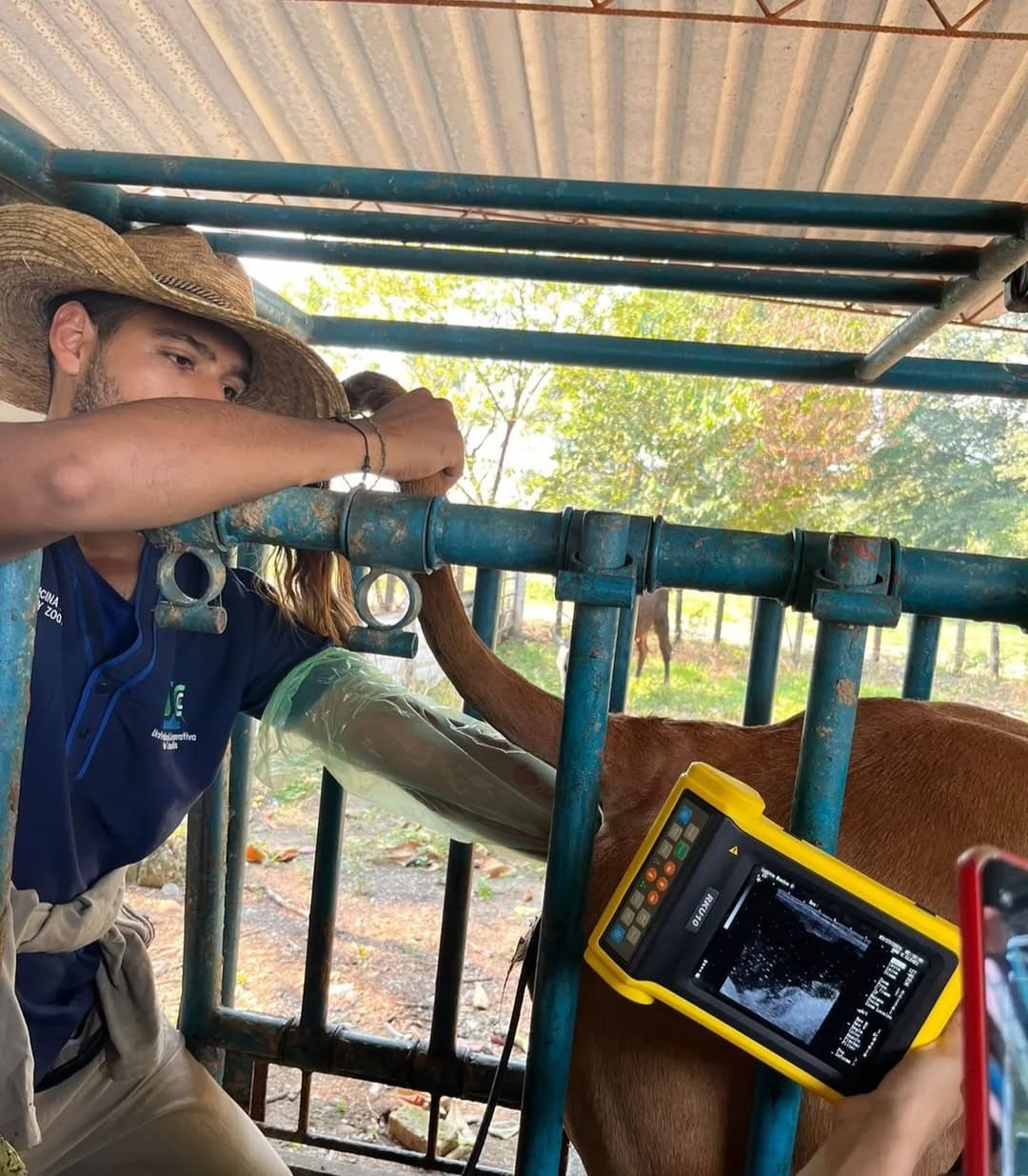 MVZ Miguel Ángel Sánchez Amaya